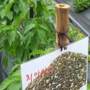 황산농장 이미지