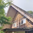 통나무파크 이미지