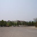 금락1리 티스토리