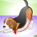 율하시티동물병원 이미지