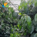 송광농장 이미지