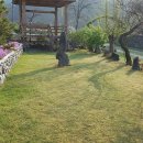 석란정펜션 이미지