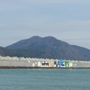 완도12호 이미지