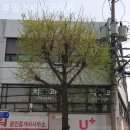 후암연세치과의원 | 후암동치과 후암연세치과의원 섬세함이 감동으로 이어지는 곳!