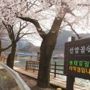 선암골생태유람길 이미지