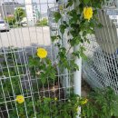 청도자동차공업사 이미지