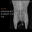 서창사랑동물의료센터 이미지