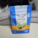 다다덴탈 이미지