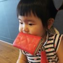 멍멍이냥