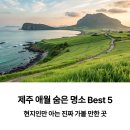 애월이오 이미지