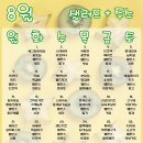 더데이셀 네이버블로그