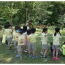 성주중앙초등학교병설유치원 이미지