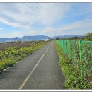 금호강영천 이미지