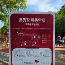 탁구놀이터 | 서울국제정원박람회 서울숲 포르쉐 숲 놀이터 방문후기