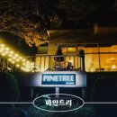 파인트리풀빌라펜션 이미지