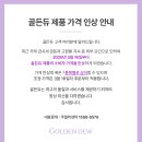 화이트듀 | 골든듀 듀이터널스2d 화이트골드 귀걸이 내돈내산 구매후기 / 골든듀 잠실롯데백화점, 골든듀 귀걸이...
