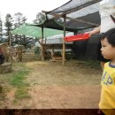 남경농장 이미지