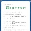 영월 흙점찰 옥수수 곳 나옴니다~ 이미지