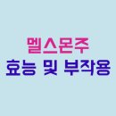 (주)한국멜스몬