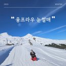 클라이짐 | [스위스] 융프라우 눈썰매_클라이넥 샤이덱 대여, 그린데발트 터미널 반납하는 곳
