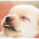 송도우리아이병원 이미지