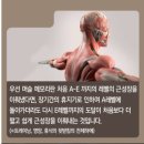 머슬메모리 네이버블로그