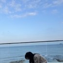 오늘하루 애견 동반 스파펜션 | 강원도 고성 완벽한 오션뷰 스파펜션추천 애견동반 비놀리안 리얼후기