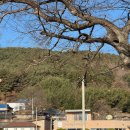 송정그림책마을 | 부여의 작은 보물 송정 그림책 마을에서