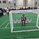 메이저밸리일상