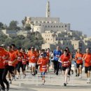 봄의언덕 이미지