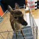 별을그리는아이어린이집 이미지