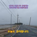 강우카 Daum카페