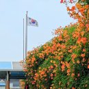 천호대로78길 이미지