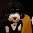 스카이개슬 이미지