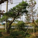 하루농장 이미지