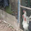 우람찬농장 이미지