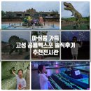 고성수석전시관 | 아쉬움 가득 고성 공룡엑스포 솔직후기 추천전시관