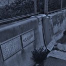 원조언양옛날곰탕 이미지