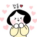 싱후이 크리에이션