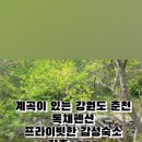 강촌1225 이미지