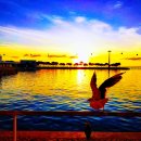 주식회사 지오코리아 이미지