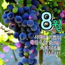 행운보석 - 수원시 장안구 연무로42번길 3 | 행운보석