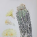 반야아트 이미지