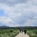 도리1리 이미지