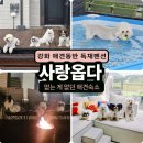 강화자동차 | 강화 애견동반 독채펜션 사랑옵다, 없는 게 없던 신상 감성숙소 후기