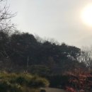 빠리함박 이미지