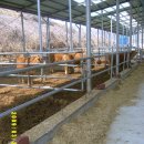 희주농장 이미지