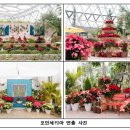 서울식물원 이미지
