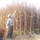 느티농원 이미지