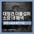 한강동물메디컬센터 | [한강동물메디컬센터] 대형견 장내이물 제거술 후기